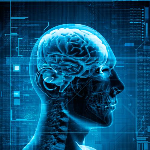Behavioral Economics