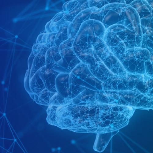 Neuroliderazgo para líderes y coaches