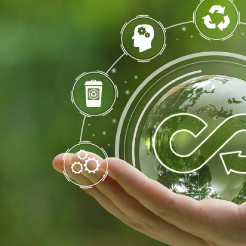 Diplomatura en Gestión Estratégica de la Sustentabilidad en Empresas