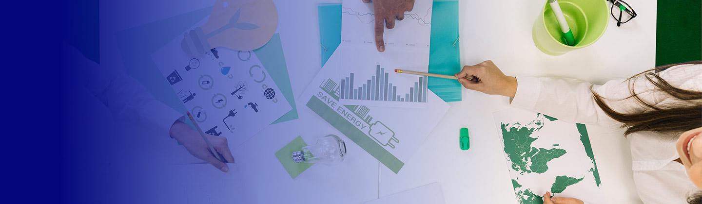 Innovación en negocios sustentables